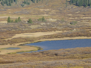 Filename=P1050815.JPG
Filesize=5538KiB
Dimensions=4320x3240
Date added=Sep 18, 2019 P1050815.JPG