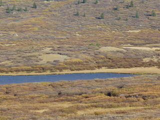 Filename=P1050816.JPG
Filesize=5841KiB
Dimensions=4320x3240
Date added=Sep 18, 2019 P1050816.JPG