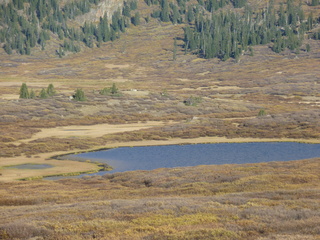 Filename=P1050817.JPG
Filesize=5594KiB
Dimensions=4320x3240
Date added=Sep 18, 2019 P1050817.JPG