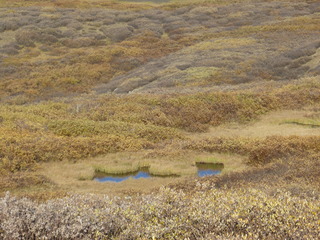 Filename=P1050818.JPG
Filesize=5400KiB
Dimensions=4320x3240
Date added=Sep 18, 2019 P1050818.JPG