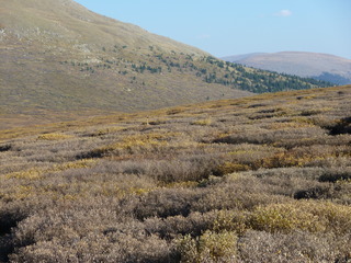 Filename=P1050830.JPG
Filesize=5471KiB
Dimensions=4320x3240
Date added=Sep 18, 2019 P1050830.JPG