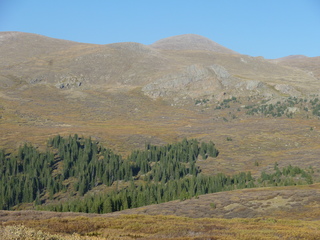 Filename=P1050831.JPG
Filesize=5712KiB
Dimensions=4320x3240
Date added=Sep 18, 2019 P1050831.JPG