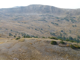 Filename=P1050843.JPG
Filesize=5778KiB
Dimensions=4320x3240
Date added=Sep 18, 2019 P1050843.JPG