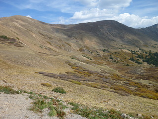 Filename=P1050852.JPG
Filesize=5686KiB
Dimensions=4320x3240
Date added=Sep 18, 2019 P1050852.JPG