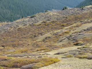 Filename=P1050856.JPG
Filesize=5344KiB
Dimensions=4320x3240
Date added=Sep 18, 2019 P1050856.JPG