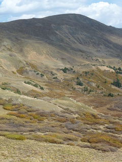 Filename=P1050860.JPG
Filesize=4888KiB
Dimensions=3240x4320
Date added=Sep 18, 2019 P1050860.JPG