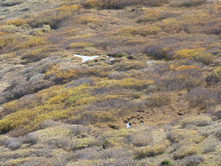 Filename=P1050864.JPG
Filesize=6119KiB
Dimensions=4320x3240
Date added=Sep 18, 2019 P1050864.JPG