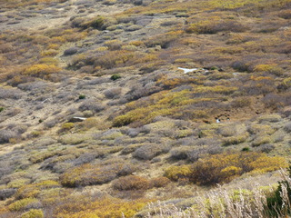 Filename=P1050865.JPG
Filesize=5478KiB
Dimensions=4320x3240
Date added=Sep 18, 2019 P1050865.JPG