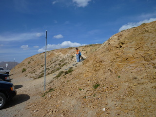 Filename=P1050866.JPG
Filesize=5601KiB
Dimensions=4320x3240
Date added=Sep 18, 2019 P1050866.JPG