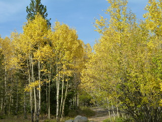 Filename=P1050882.JPG
Filesize=5928KiB
Dimensions=4320x3240
Date added=Sep 18, 2019 P1050882.JPG