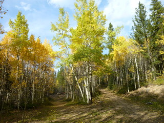 Filename=P1050886.JPG
Filesize=5818KiB
Dimensions=4320x3240
Date added=Sep 18, 2019 P1050886.JPG