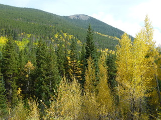 Filename=P1050896.JPG
Filesize=5868KiB
Dimensions=4320x3240
Date added=Sep 18, 2019 P1050896.JPG