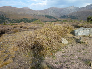 Filename=P1050898.JPG
Filesize=5516KiB
Dimensions=4320x3240
Date added=Sep 18, 2019 P1050898.JPG