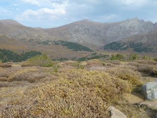 Filename=P1050899.JPG
Filesize=5254KiB
Dimensions=4320x3240
Date added=Sep 18, 2019 P1050899.JPG