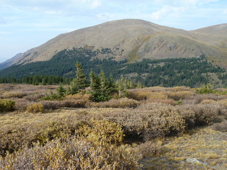 Filename=P1050900.JPG
Filesize=5320KiB
Dimensions=4320x3240
Date added=Sep 18, 2019 P1050900.JPG