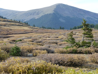 Filename=P1050905.JPG
Filesize=5525KiB
Dimensions=4320x3240
Date added=Sep 18, 2019 P1050905.JPG