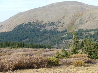 Filename=P1050906.JPG
Filesize=5392KiB
Dimensions=4320x3240
Date added=Sep 18, 2019 P1050906.JPG