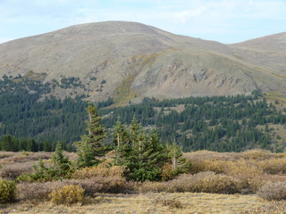 Filename=P1050910.JPG
Filesize=5227KiB
Dimensions=4320x3240
Date added=Sep 18, 2019 P1050910.JPG