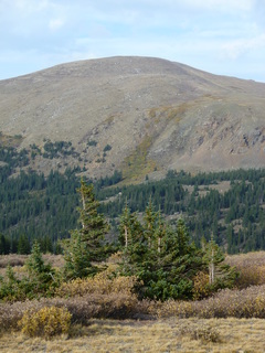 Filename=P1050912.JPG
Filesize=5114KiB
Dimensions=3240x4320
Date added=Sep 18, 2019 P1050912.JPG