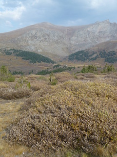 Filename=P1050916.JPG
Filesize=4802KiB
Dimensions=3240x4320
Date added=Sep 18, 2019 P1050916.JPG