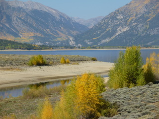 Filename=P1050941.JPG
Filesize=5195KiB
Dimensions=4320x3240
Date added=Sep 18, 2019 P1050941.JPG