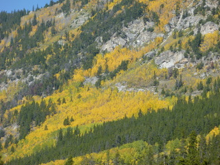 Filename=P1050968.JPG
Filesize=5500KiB
Dimensions=4320x3240
Date added=Sep 18, 2019 P1050968.JPG