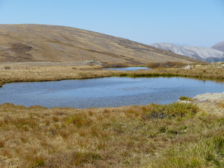 Filename=P1050971.JPG
Filesize=5163KiB
Dimensions=4320x3240
Date added=Sep 18, 2019 P1050971.JPG