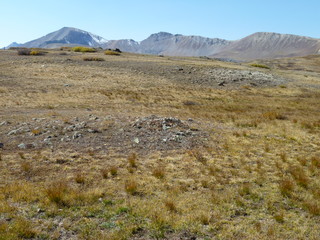 Filename=P1050972.JPG
Filesize=5541KiB
Dimensions=4320x3240
Date added=Sep 18, 2019 P1050972.JPG