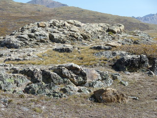 Filename=P1050976.JPG
Filesize=5666KiB
Dimensions=4320x3240
Date added=Sep 18, 2019 P1050976.JPG