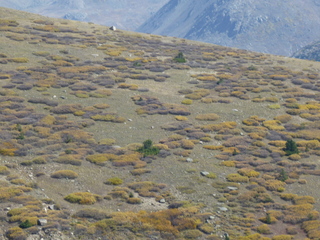 Filename=P1050984.JPG
Filesize=5391KiB
Dimensions=4320x3240
Date added=Sep 18, 2019 P1050984.JPG