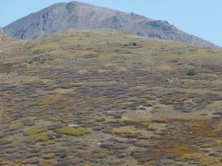 Filename=P1050985.JPG
Filesize=5388KiB
Dimensions=4320x3240
Date added=Sep 18, 2019 P1050985.JPG