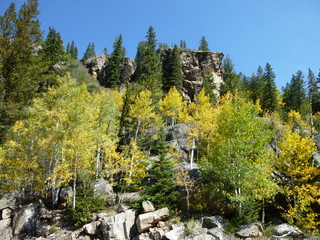 Filename=P1050992.JPG
Filesize=5801KiB
Dimensions=4320x3240
Date added=Sep 18, 2019 P1050992.JPG