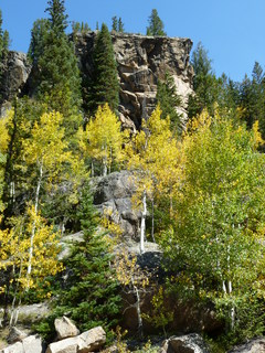 Filename=P1050993.JPG
Filesize=4896KiB
Dimensions=3240x4320
Date added=Sep 18, 2019 P1050993.JPG