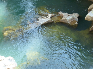 Filename=P1060008.JPG
Filesize=5677KiB
Dimensions=4320x3240
Date added=Sep 18, 2019 P1060008.JPG