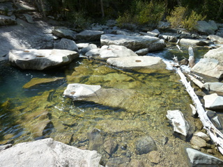 Filename=P1060028.JPG
Filesize=5915KiB
Dimensions=4320x3240
Date added=Sep 18, 2019 P1060028.JPG