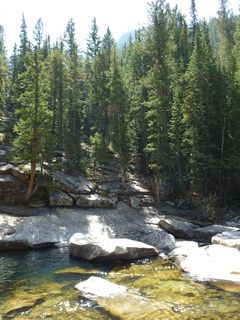 Filename=P1060041.JPG
Filesize=5213KiB
Dimensions=3240x4320
Date added=Sep 18, 2019 P1060041.JPG