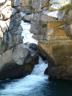 Filename=P1060051.JPG
Filesize=5037KiB
Dimensions=3240x4320
Date added=Sep 18, 2019 P1060051.JPG