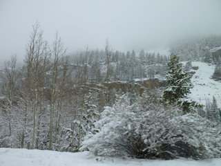 Filename=P1070467.JPG
Filesize=5543KiB
Dimensions=4320x3240
Date added=Sep 19, 2019 P1070467.JPG