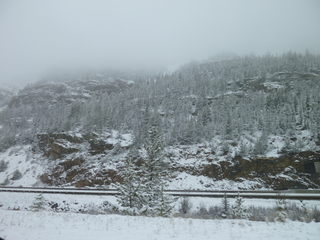 Filename=P1070468.JPG
Filesize=5525KiB
Dimensions=4320x3240
Date added=Sep 19, 2019 P1070468.JPG