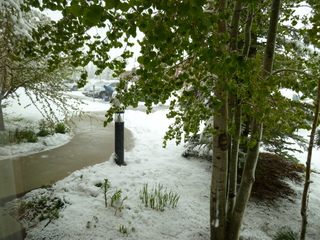 Filename=P1070471.JPG
Filesize=5687KiB
Dimensions=4320x3240
Date added=Sep 19, 2019 P1070471.JPG