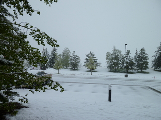 Filename=P1070474.JPG
Filesize=5653KiB
Dimensions=4320x3240
Date added=Sep 19, 2019 P1070474.JPG