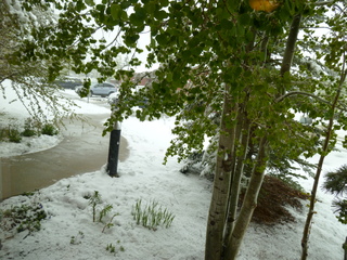 Filename=P1070479.JPG
Filesize=5731KiB
Dimensions=4320x3240
Date added=Sep 19, 2019 P1070479.JPG