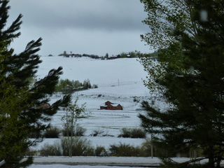 Filename=P1070492.JPG
Filesize=5733KiB
Dimensions=4320x3240
Date added=Sep 19, 2019 P1070492.JPG