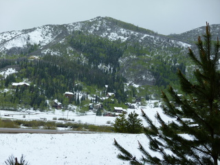 Filename=P1070493.JPG
Filesize=5558KiB
Dimensions=4320x3240
Date added=Sep 19, 2019 P1070493.JPG