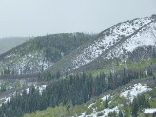 Filename=P1070495.JPG
Filesize=5577KiB
Dimensions=4320x3240
Date added=Sep 19, 2019 P1070495.JPG