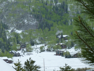 Filename=P1070496.JPG
Filesize=5405KiB
Dimensions=4320x3240
Date added=Sep 19, 2019 P1070496.JPG