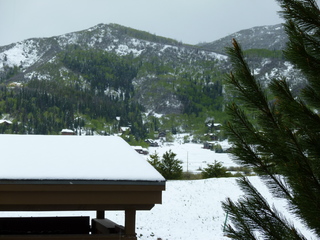 Filename=P1070497.JPG
Filesize=5703KiB
Dimensions=4320x3240
Date added=Sep 19, 2019 P1070497.JPG