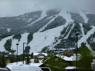 Filename=P1070498.JPG
Filesize=5302KiB
Dimensions=4320x3240
Date added=Sep 19, 2019 P1070498.JPG