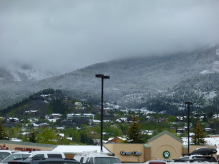 Filename=P1070499.JPG
Filesize=5587KiB
Dimensions=4320x3240
Date added=Sep 19, 2019 P1070499.JPG