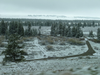 Filename=P1070506.JPG
Filesize=5708KiB
Dimensions=4320x3240
Date added=Sep 19, 2019 P1070506.JPG